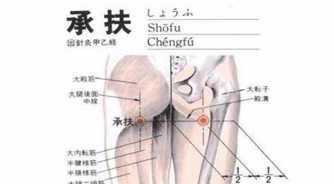 50 Common Acupuncture Points for Treating Various Ailments