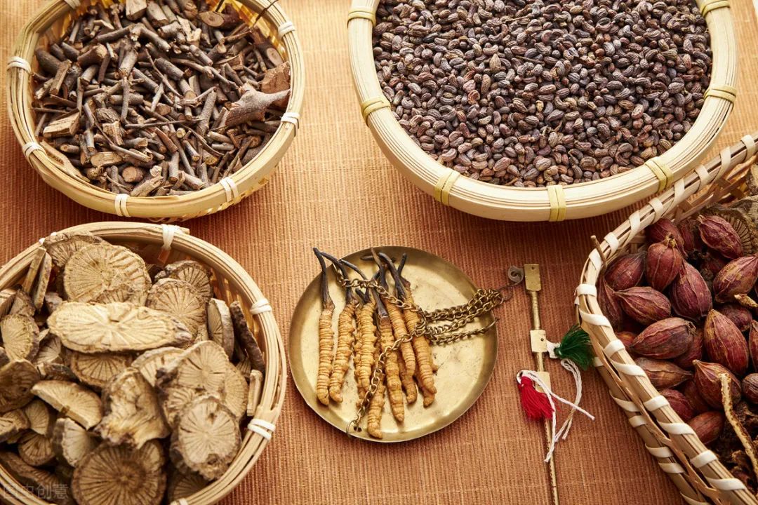 Blood Stasis as the Root of All Illness: Five Blood-Invigorating Formulas by Ren Wang Qing