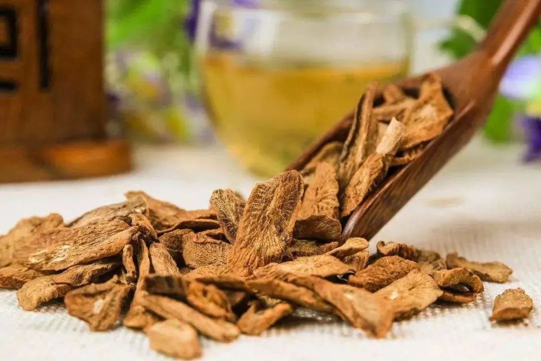 Dan Shen: A Comprehensive Overview of Salvia Miltiorrhiza in Traditional Chinese Medicine
