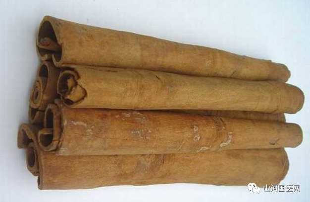 Traditional Chinese Medicine: Cinnamon