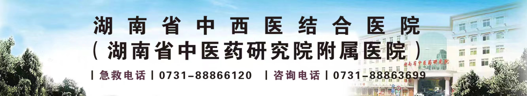 Nurturing Yang in Spring and Summer: The Health Benefits of Wenyang Patches