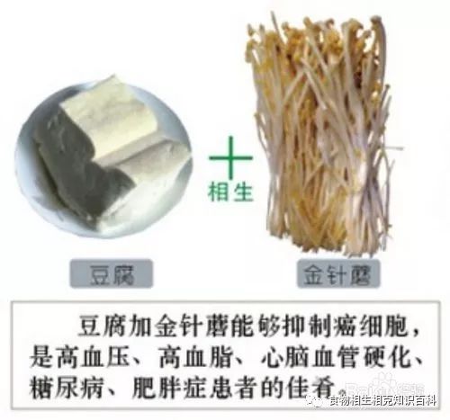 A Comprehensive Guide to Complementary and Contradictory Foods in TCM