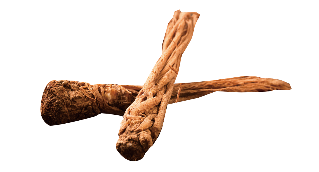 Nourishing the Body: The Different Effects of Danggui (Angelica Sinensis) for Blood Deficiency and Constipation