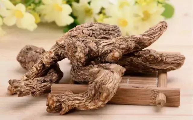 The Top Benefits of Astragalus: Pairing It for Disease Prevention!