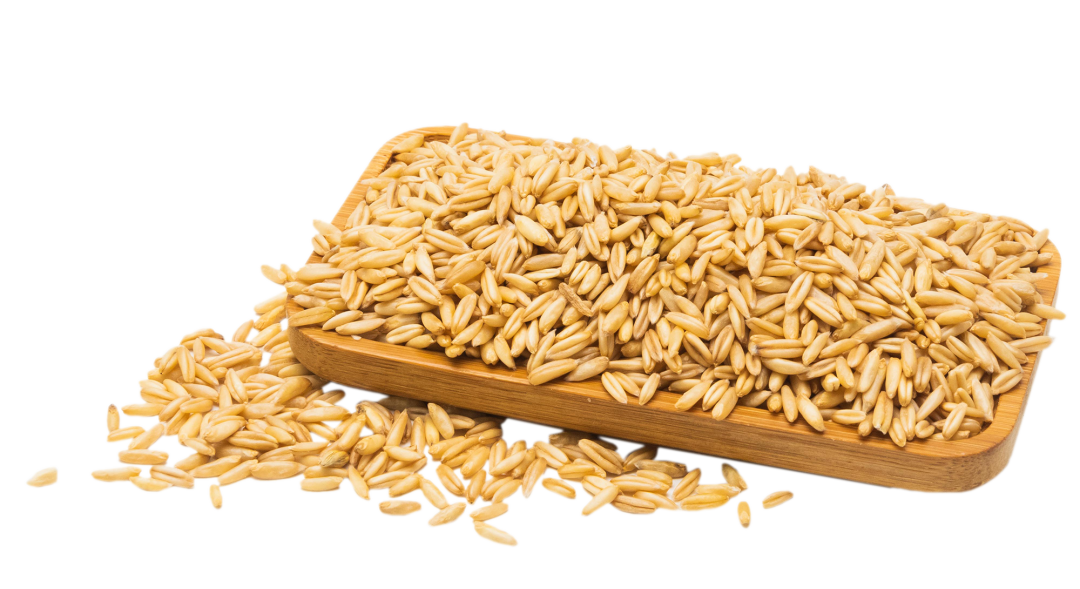 Whole Grains: The Foundation of Health, Are You Eating Right?