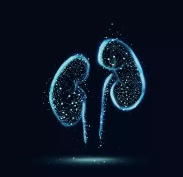 Understanding the Roles of Our Organs in Traditional Chinese Medicine