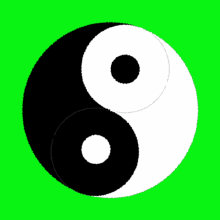 How to Achieve Longevity by Harmonizing with Nature and Balancing Yin and Yang in Traditional Chinese Medicine