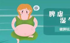 Understanding Spleen and Stomach Yang Deficiency in Traditional Chinese Medicine