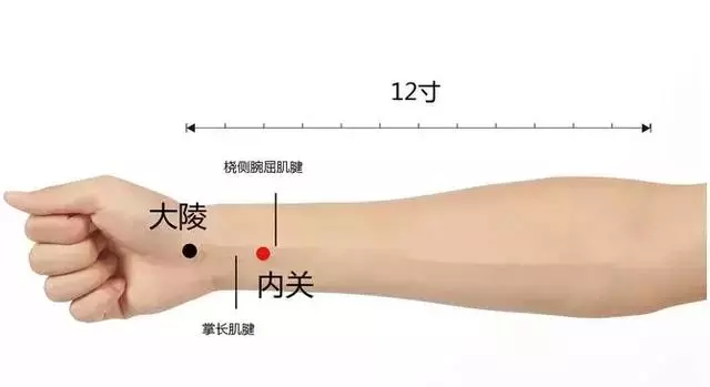 57 Practical Acupuncture Points Everyone Can Use