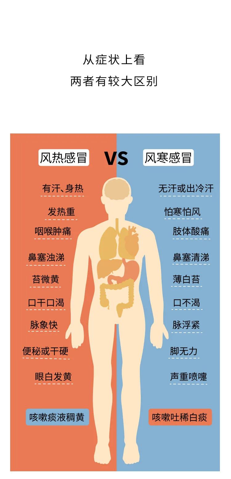 Distinguishing Between Wind-Heat and Wind-Cold Colds: A Visual Guide to Avoid Mismedication