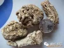 Chuanxiong (Ligusticum chuanxiong) - A Comprehensive Overview