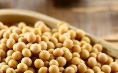 How to Nourish Individuals with Qi Deficiency Constitution?