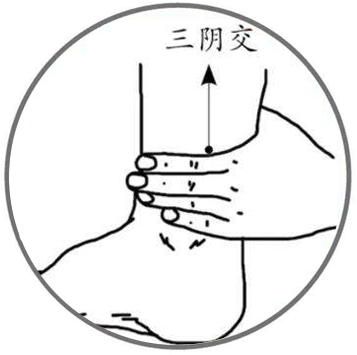 Identification of TCM Constitution - Harmonious Constitution