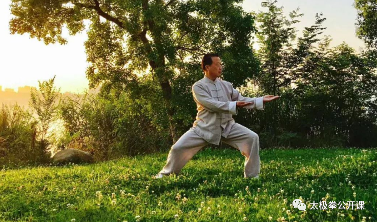 The 23 Palm Techniques of Tai Chi: Infinite Benefits After Mastery!