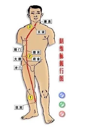 The Eight Extraordinary Meridians: A Major Remedy for Comprehensive Healing, Including Diagrams!