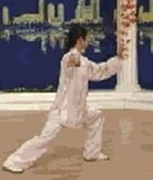 Comprehensive Guide to Tai Chi Movements: Exercise at Home!