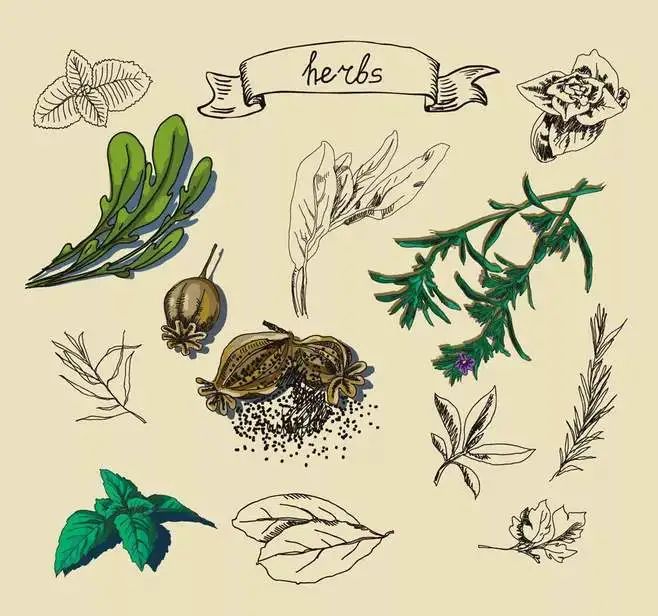 Aromatic Chinese Medicinal Herbs