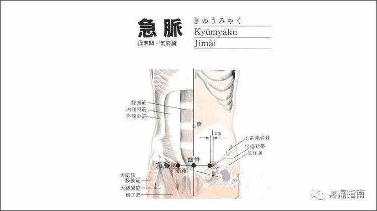 Deep Needle Insertion for Treating Perineal Pain
