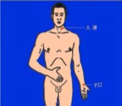 Traditional Chinese Medicine Diagnosis - Pulse Diagnosis