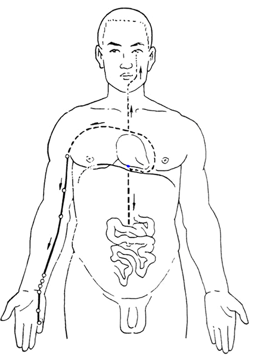 The Flow of the Twelve Meridians: A Guide to Health Maintenance Over 24 Hours