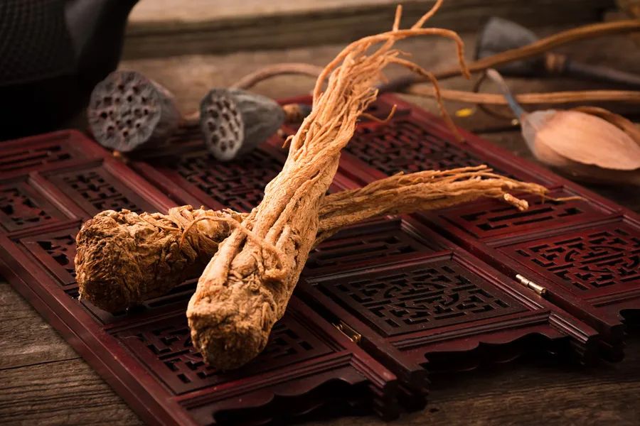The Benefits of Astragalus: A Shield Against Illness
