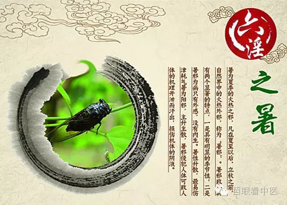 The Six Excesses and Their Syndromes in Traditional Chinese Medicine