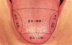 How to Observe Tongue Coating to Reflect Your Health