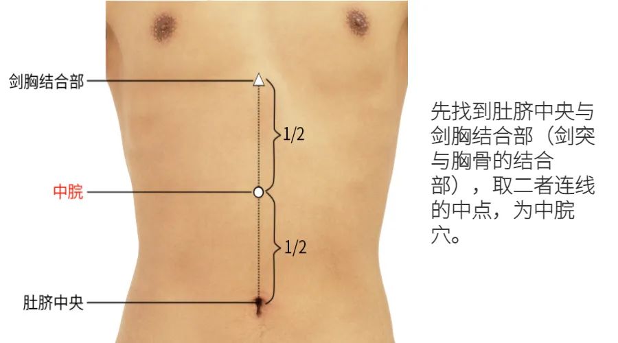 Warming Yang: The Primary Acupoint for Warming Meridians and Treating Cold Extremities, Joint Cold, and Cold in the Lower Back and Legs, Essential for Winter