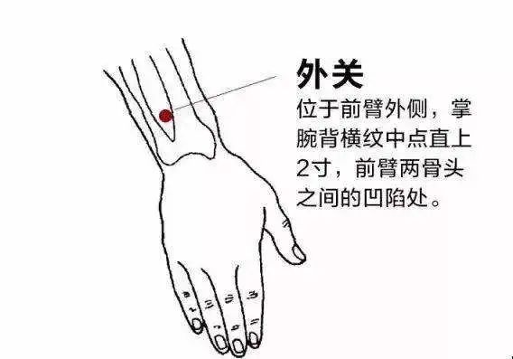 Nurturing Nine Types of Constitutions in Traditional Chinese Medicine