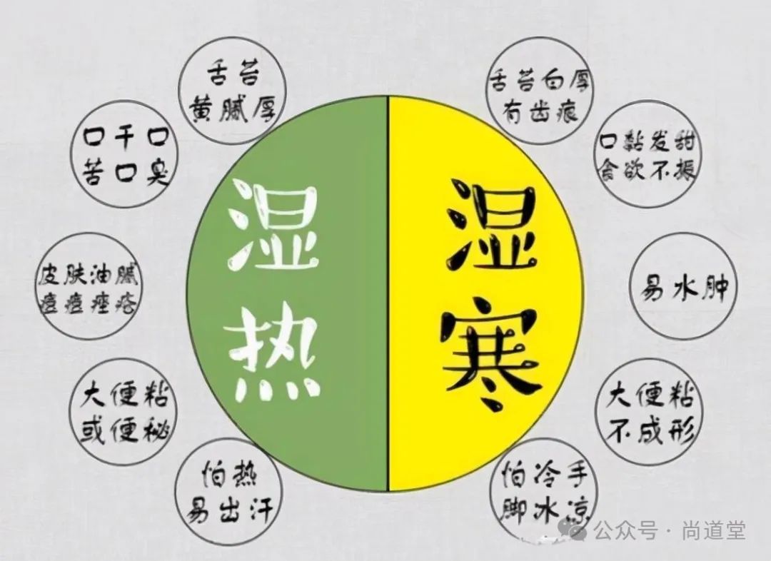 Understanding the Four Major Deficiencies in Traditional Chinese Medicine: Qi Deficiency with Dampness, Blood Deficiency with Wind, Yang Deficiency with Cold, and Yin Deficiency with Excess Heat