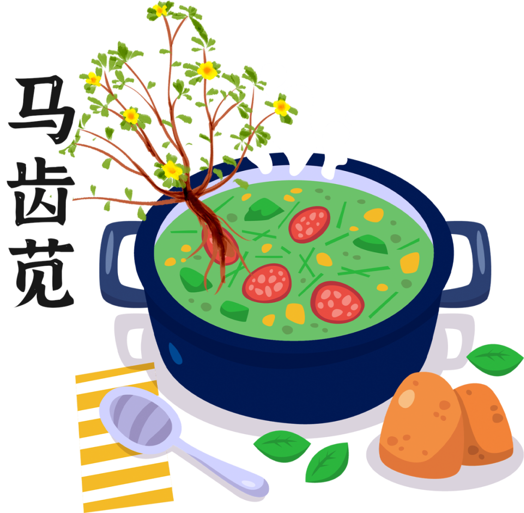 The Story of Ma Chi Xian (Purslane) Treating Ulcers