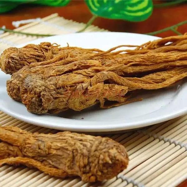 Angelica Sinensis: A Comprehensive Overview