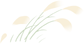 Insights on the Oral Administration of Traditional Chinese Medicine Decoctions