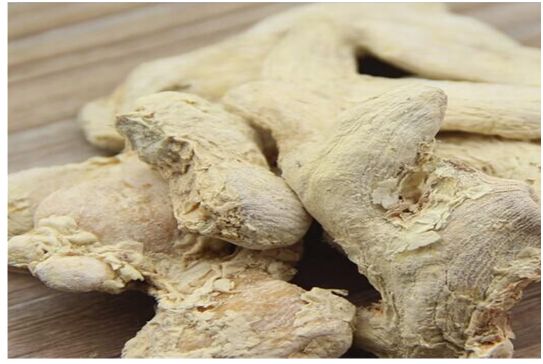 Clinical Applications of Fresh Ginger, Dried Ginger, Processed Ginger, and Ginger Charcoal