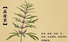 Weekly Dietary Therapy for Common Kidney Diseases