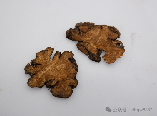 The Efficacy and Contraindications of Chuanxiong (Ligusticum chuanxiong)