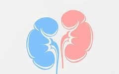 What is Kidney Yang Deficiency? Why Does It Occur? What Are the Improvement Methods?