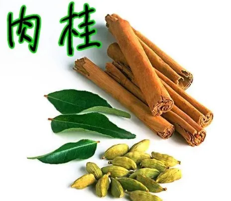 Daily Learning of Chinese Herbs - Cinnamon