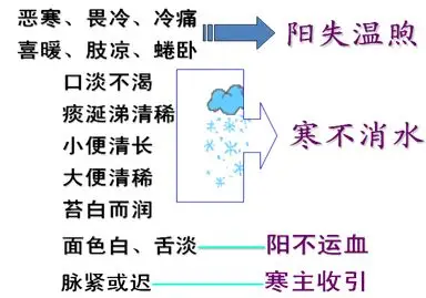 Illustrated Guide to the Eight Principles of Diagnosis in TCM