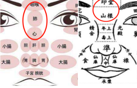 Observational Diagnosis of the Nose in Integrative Chinese and Western Medicine