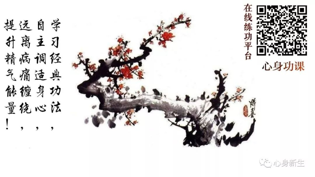 The Principles of Daoyin: Cultivating Body and Mind