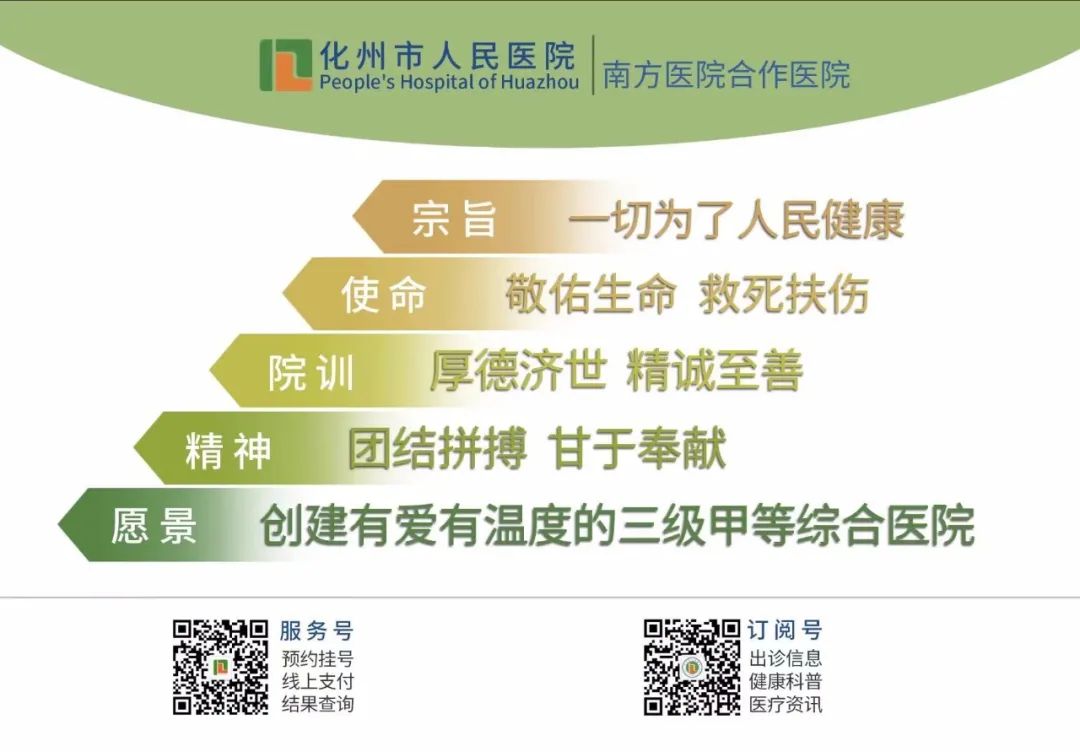 Understanding TCM Medicinal Cuisine
