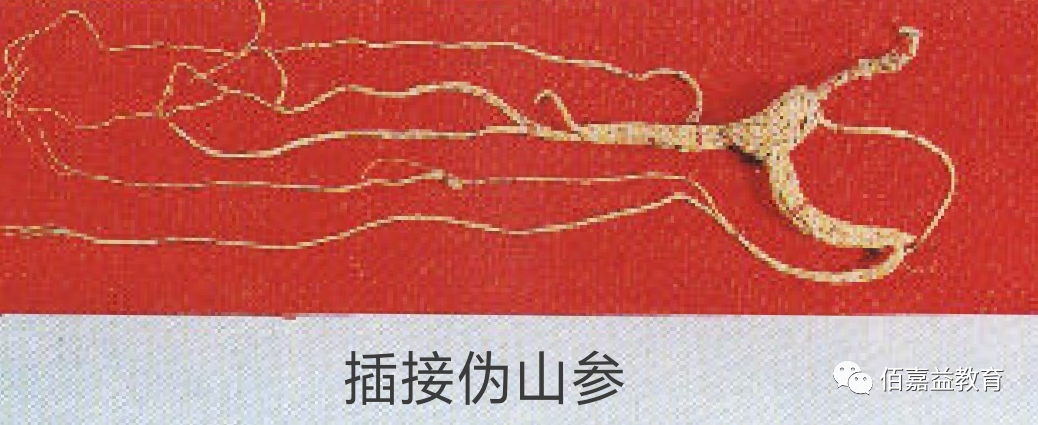 How to Distinguish Genuine from Fake Ginseng