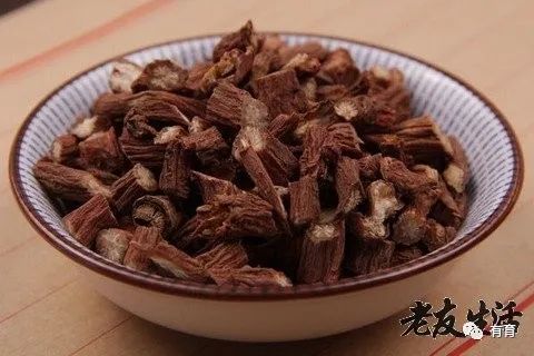 Effects and Functions of Dan Shen (Salvia miltiorrhiza) and Its Contraindications