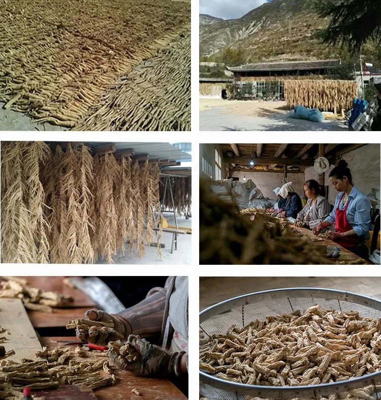 Comprehensive Identification of Codonopsis (Dang Shen): Analysis of Sulfur Fumigation, Origin, Quality, Habitat, Product Specifications, and Production Conditions