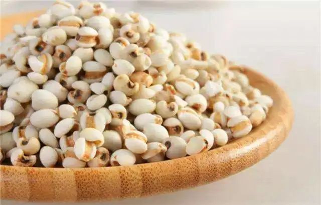 Job's Tears: A Small Grain with Significant Benefits