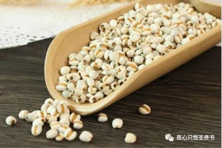 The Door to Qi Transformation in Cold Damage: Coix Seed (Yi Yi Ren)