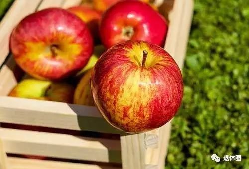 30 Dietary Therapy Recipes