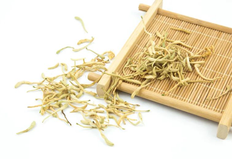 Introduction to Jin Yin Hua (Honeysuckle Flower)