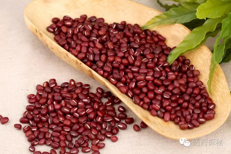 Nourishing with Grains: 6 Types of Beans for Summer Health